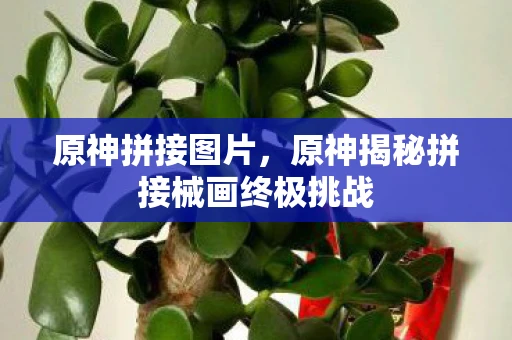 原神拼接图片,原神揭秘拼接械画终极挑战 原神拼接图片,原神揭秘拼接械画终极挑战