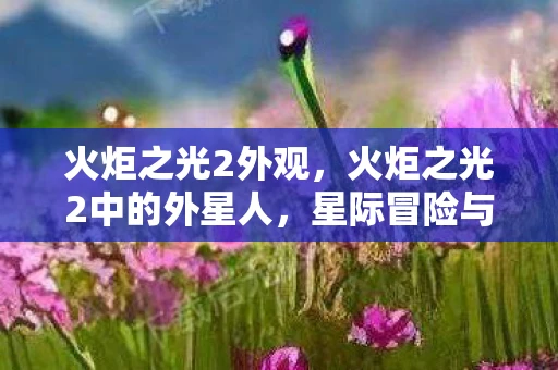 火炬之光2外观，火炬之光2中的外星人，星际冒险与未知挑战