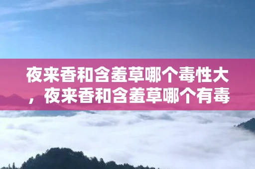 夜来香和含羞草哪个毒性大,夜来香和含羞草哪个有毒?揭秘两种植物的真相 夜来香和含羞草哪个毒性大,夜来香和含羞草哪个有毒?揭秘两种植物的真相