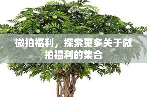 探索更多关于微拍福利的集合图片