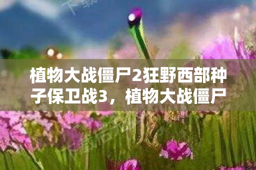 植物大战僵尸2狂野西部种子保卫战3，植物大战僵尸2狂野西部种子保卫战第三天，策略与战斗的艺术