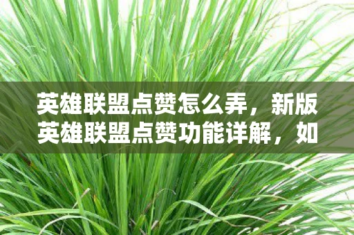 英雄联盟点赞怎么弄，新版英雄联盟点赞功能详解，如何轻松点赞，让你的支持传递正能量！