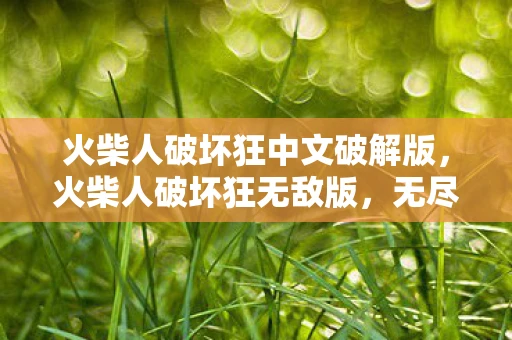 火柴人破坏狂中文破解版，火柴人破坏狂无敌版，无尽破坏与挑战