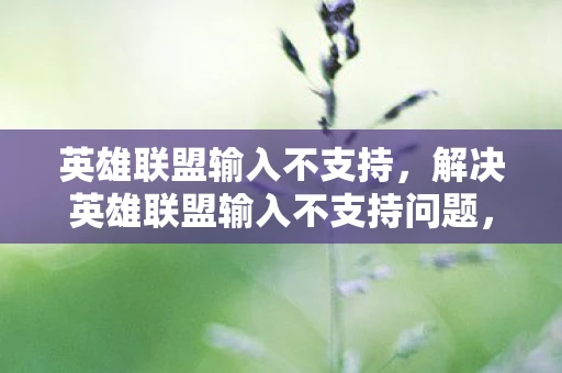英雄联盟输入不支持,解决英雄联盟输入不支持问题,原因与方法 英雄联盟输入不支持,解决英雄联盟输入不支持问题,原因与方法