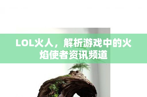 解析游戏中的火焰使者资讯频道图片