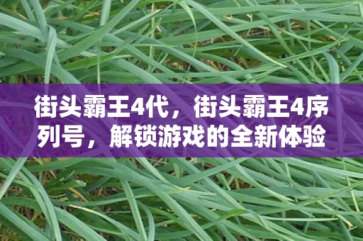 街头霸王4代，街头霸王4序列号，解锁游戏的全新体验