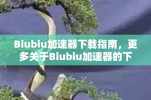 更多关于Biubiu加速器的下载集合图片