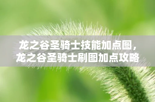 龙之谷圣骑士技能加点图，龙之谷圣骑士刷图加点攻略详解