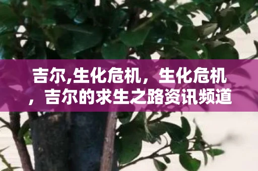 吉尔,生化危机，生化危机，吉尔的求生之路资讯频道