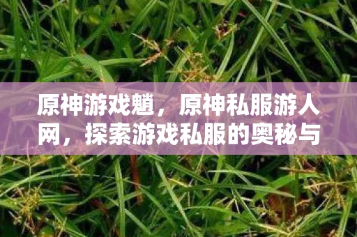 原神游戏魈，原神私服游人网，探索游戏私服的奥秘与风险