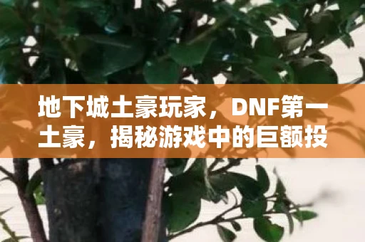 地下城土豪玩家，DNF第一土豪，揭秘游戏中的巨额投入与影响
