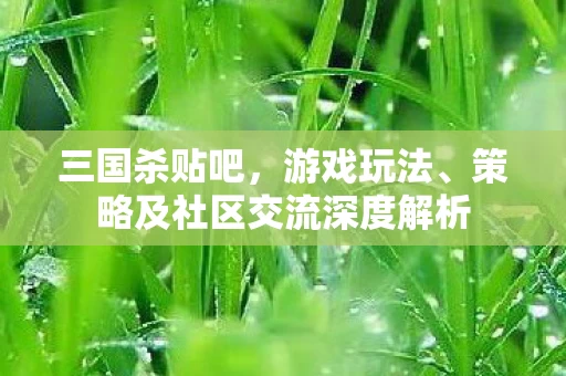 策略及社区交流深度解析图片