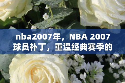 nba2007年，NBA 2007球员补丁，重温经典赛季的篮球魅力