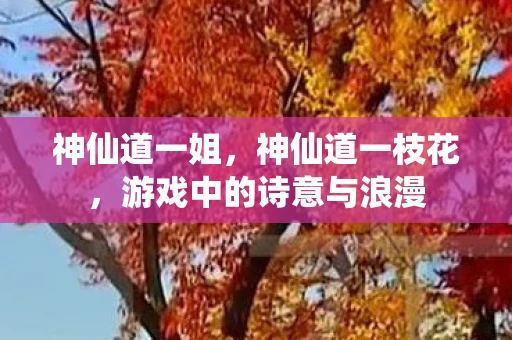 神仙道一姐,神仙道一枝花,游戏中的诗意与浪漫 神仙道一姐,神仙道一枝花,游戏中的诗意与浪漫