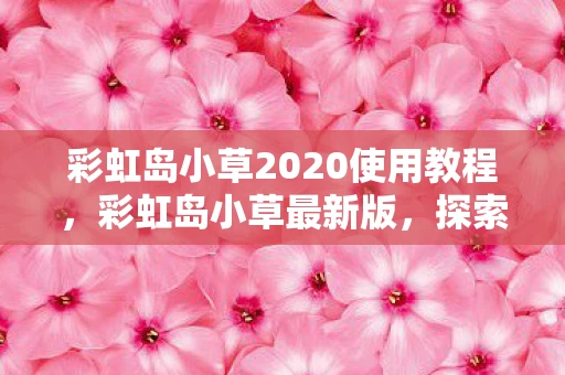 彩虹岛小草2020使用教程，彩虹岛小草最新版，探索神秘的幻想世界
