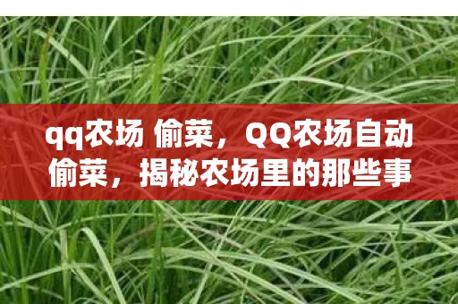 qq农场 偷菜,QQ农场自动偷菜,揭秘农场里的那些事儿 qq农场 偷菜,QQ农场自动偷菜,揭秘农场里的那些事儿