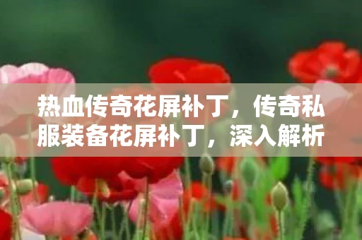 热血传奇花屏补丁,传奇私服装备花屏补丁,深入解析与应对策略 热血传奇花屏补丁,传奇私服装备花屏补丁,深入解析与应对策略