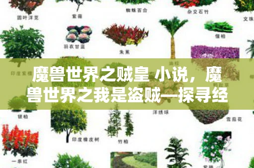 魔兽世界之贼皇 小说，魔兽世界之我是盗贼—探寻经典游戏的魅力之旅