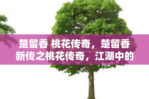 楚留香 桃花传奇，楚留香新传之桃花传奇，江湖中的爱与恨交织