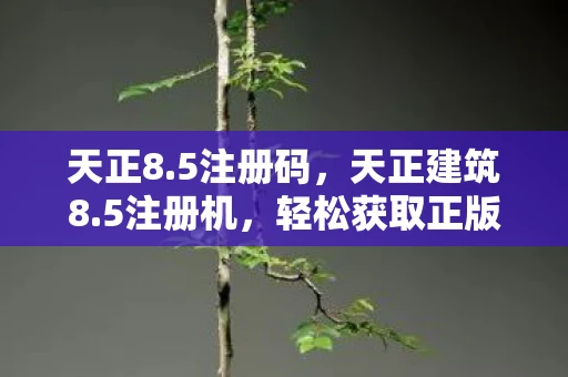 天正8.5注册码，天正建筑8.5注册机，轻松获取正版授权