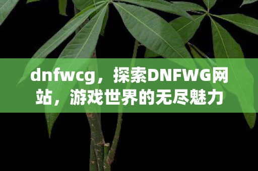 dnfwcg，探索DNFWG网站，游戏世界的无尽魅力
