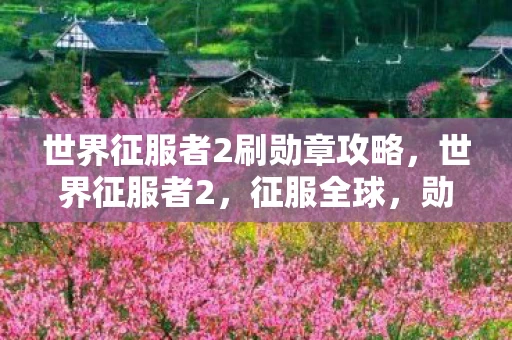 世界征服者2刷勋章攻略,世界征服者2,征服全球,勋章闪耀—攻略揭秘刷勋章秘籍 世界征服者2刷勋章攻略,世界征服者2,征服全球,勋章闪耀—攻略揭秘刷勋章秘籍