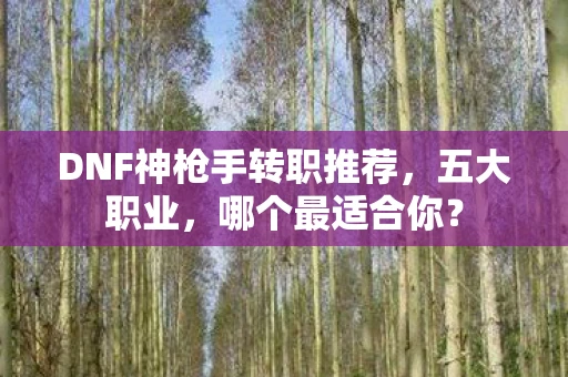 DNF神枪手转职推荐,五大职业,哪个最适合你? DNF神枪手转职推荐,五大职业,哪个最适合你?
