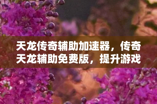 天龙传奇辅助加速器，传奇天龙辅助免费版，提升游戏体验的必备神器