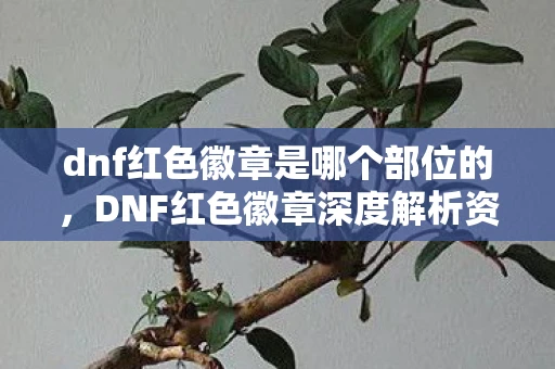 dnf红色徽章是哪个部位的，DNF红色徽章深度解析资讯频道