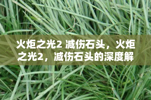 火炬之光2 减伤石头，火炬之光2，减伤石头的深度解析与实战应用