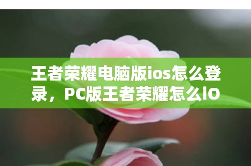 王者荣耀电脑版ios怎么登录，PC版王者荣耀怎么iOS登陆？全面解析登陆流程