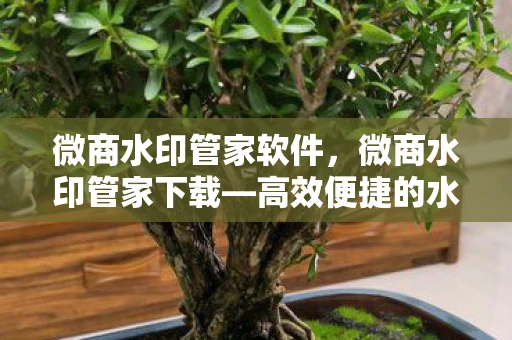 微商水印管家软件,微商水印管家下载—高效便捷的水印管理利器 微商水印管家软件,微商水印管家下载—高效便捷的水印管理利器