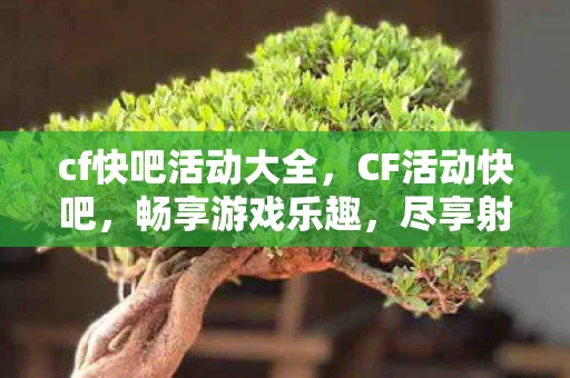 cf快吧活动大全，CF活动快吧，畅享游戏乐趣，尽享射击激情