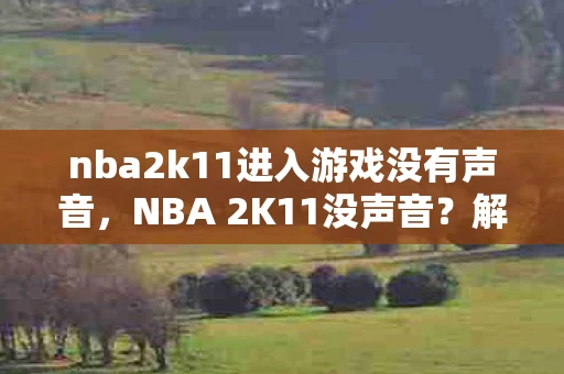nba2k11进入游戏没有声音，NBA 2K11没声音？解决NBA 2K11游戏无声音问题
