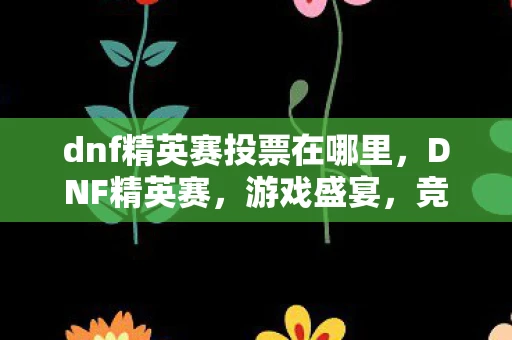 dnf精英赛投票在哪里，DNF精英赛，游戏盛宴，竞技激情的狂欢