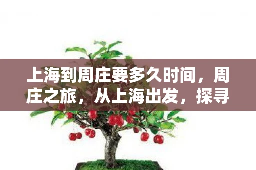 上海到周庄要多久时间，周庄之旅，从上海出发，探寻古镇魅力所需的时间与路线