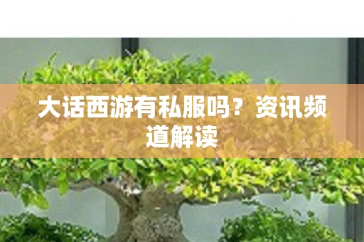 大话西游有私服吗?资讯频道解读 大话西游有私服吗?资讯频道解读