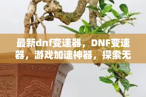 最新dnf变速器，DNF变速器，游戏加速神器，探索无尽战斗的可能性