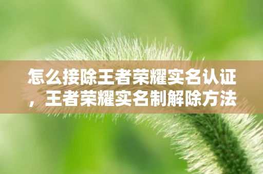怎么接除王者荣耀实名认证，王者荣耀实名制解除方法详解