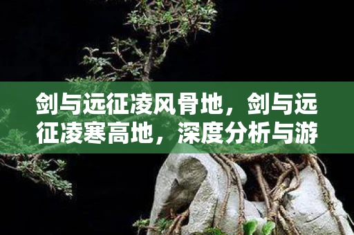 剑与远征凌风骨地,剑与远征凌寒高地,深度分析与游戏内容探讨 剑与远征凌风骨地,剑与远征凌寒高地,深度分析与游戏内容探讨