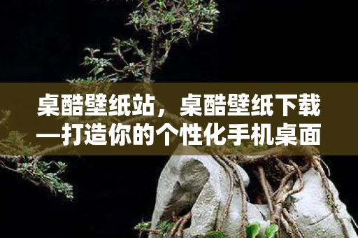 桌酷壁纸站，桌酷壁纸下载—打造你的个性化手机桌面