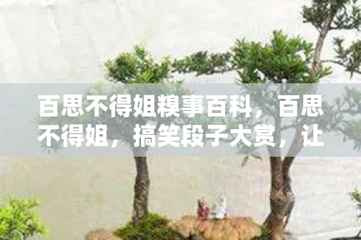 百思不得姐糗事百科，百思不得姐，搞笑段子大赏，让你笑到停不下来！