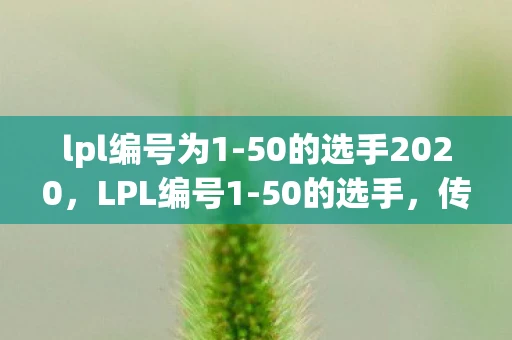 lpl编号为1-50的选手2020，LPL编号1-50的选手，传奇与荣耀的竞技场