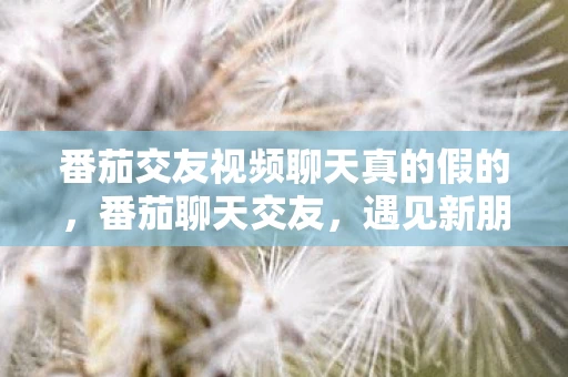 番茄交友视频聊天真的假的，番茄聊天交友，遇见新朋友的神奇应用