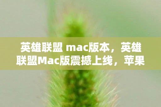 英雄联盟 mac版本，英雄联盟Mac版震撼上线，苹果用户的福音