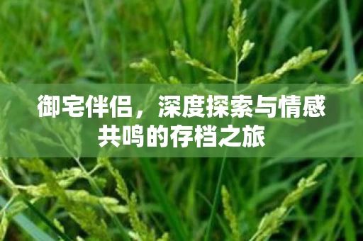 深度探索与情感共鸣的存档之旅图片