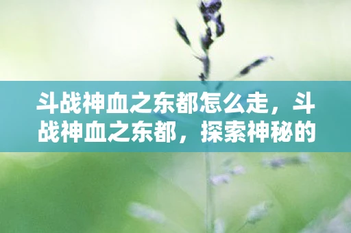 斗战神血之东都怎么走，斗战神血之东都，探索神秘的东方都市