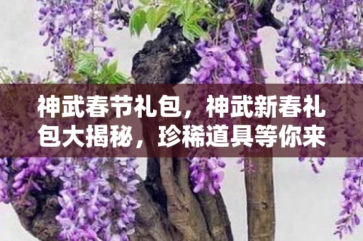 神武春节礼包，神武新春礼包大揭秘，珍稀道具等你来拿！
