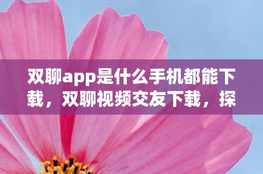 双聊app是什么手机都能下载，双聊视频交友下载，探索虚拟世界的全新交友体验