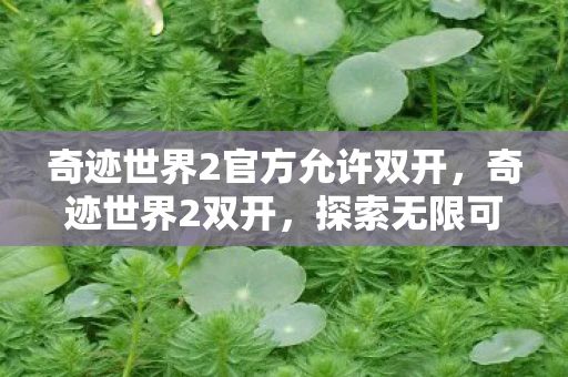 奇迹世界2官方允许双开，奇迹世界2双开，探索无限可能，体验双倍乐趣